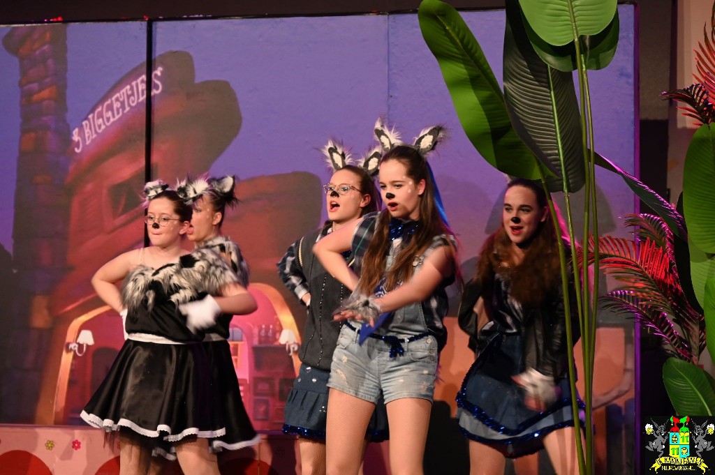 ../Images/Dansmariekefestival 2025 331.jpg